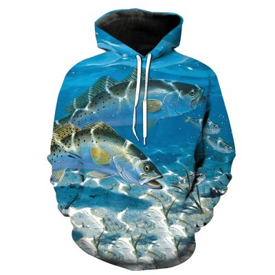 Screen / Sublimated Hoodies